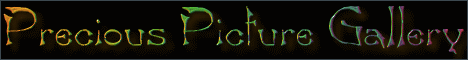 Precious's Page